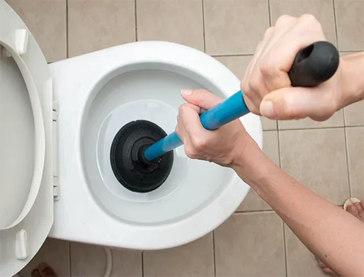 Como Desentupir Vaso Sanitário em Caçapava